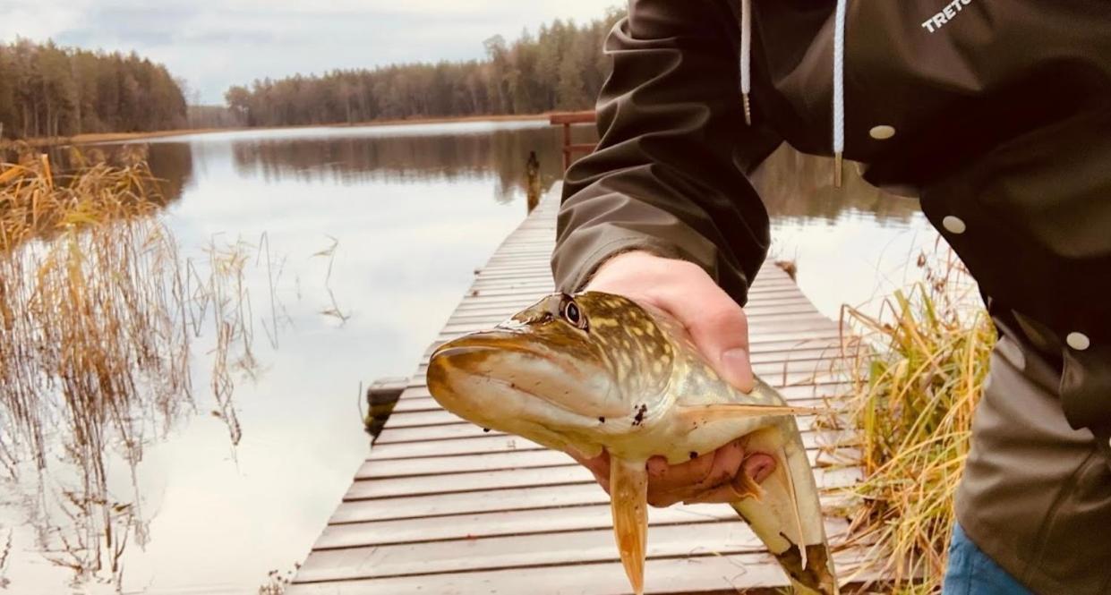 Lesniczowka Szeroki Bor Hotell Exteriör bild